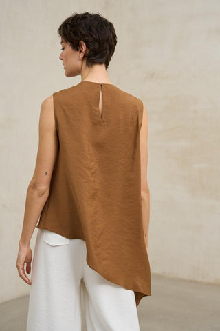 Aristea copper top